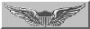 US ARMY Aviator Wings